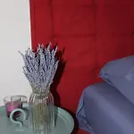Lavandula