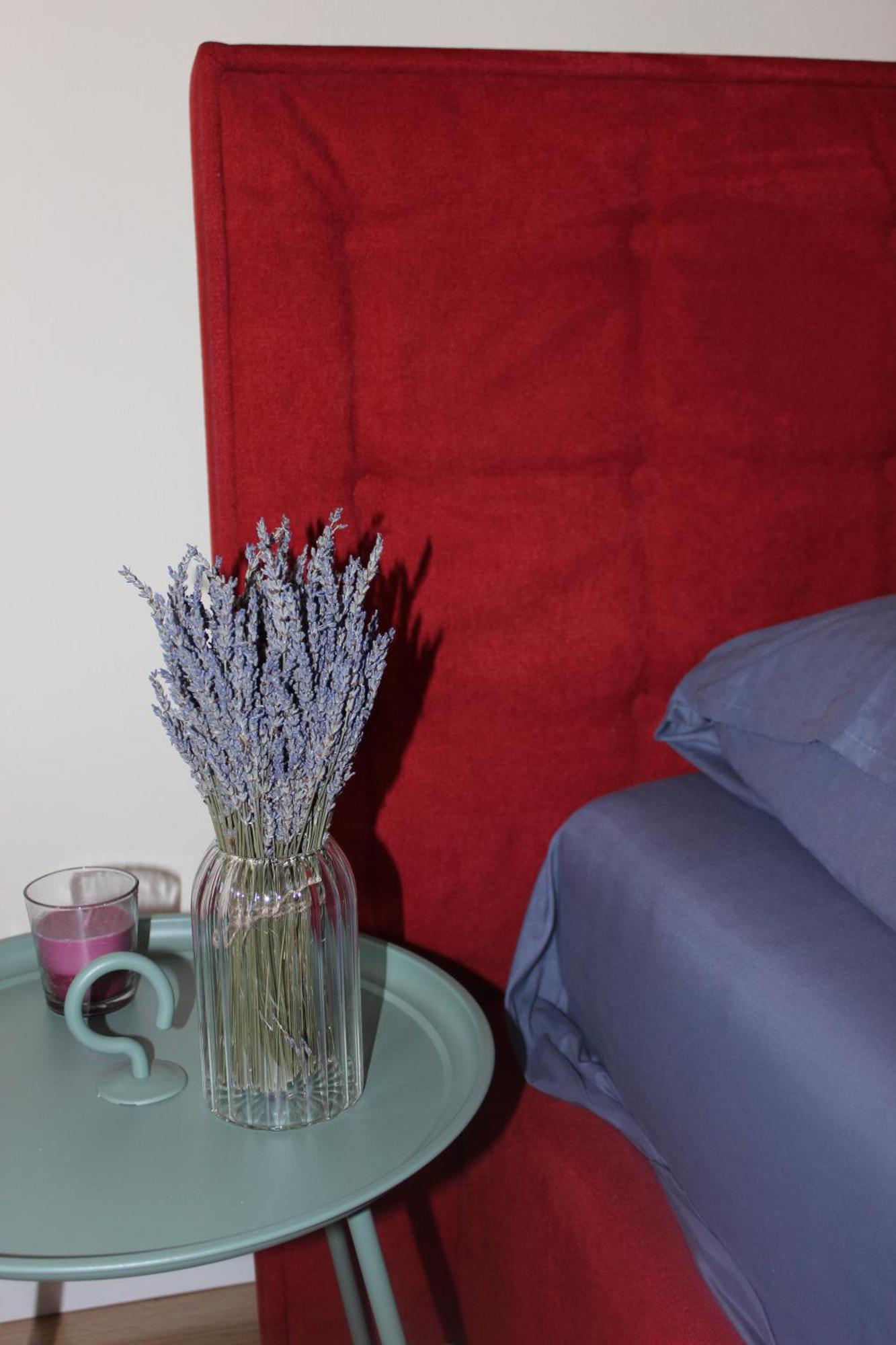 Lavandula Apartament *